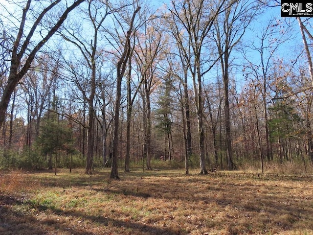 0 Bull Run Rd, Winnsboro SC, 29180 land for sale