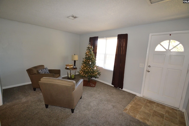 carpeted entrance foyer featuring a healthy amount of sunlight and a textured ceiling