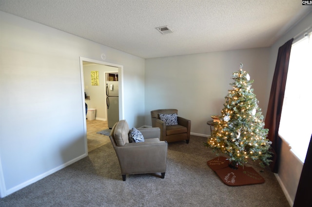 living area featuring carpet floors and a textured ceiling