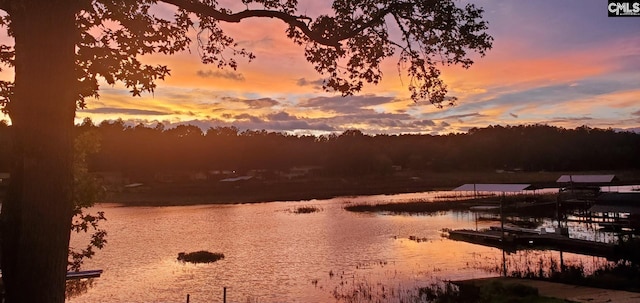 water view featuring a boat dock