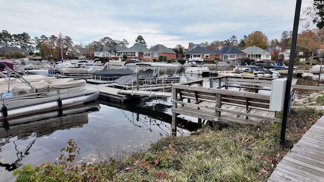 dock area with a water view