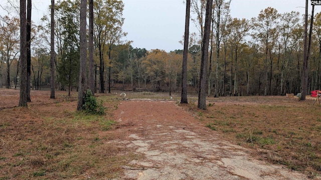 670 Goat Hill Rd Unit 3, Ridgeway SC, 29130 land for sale