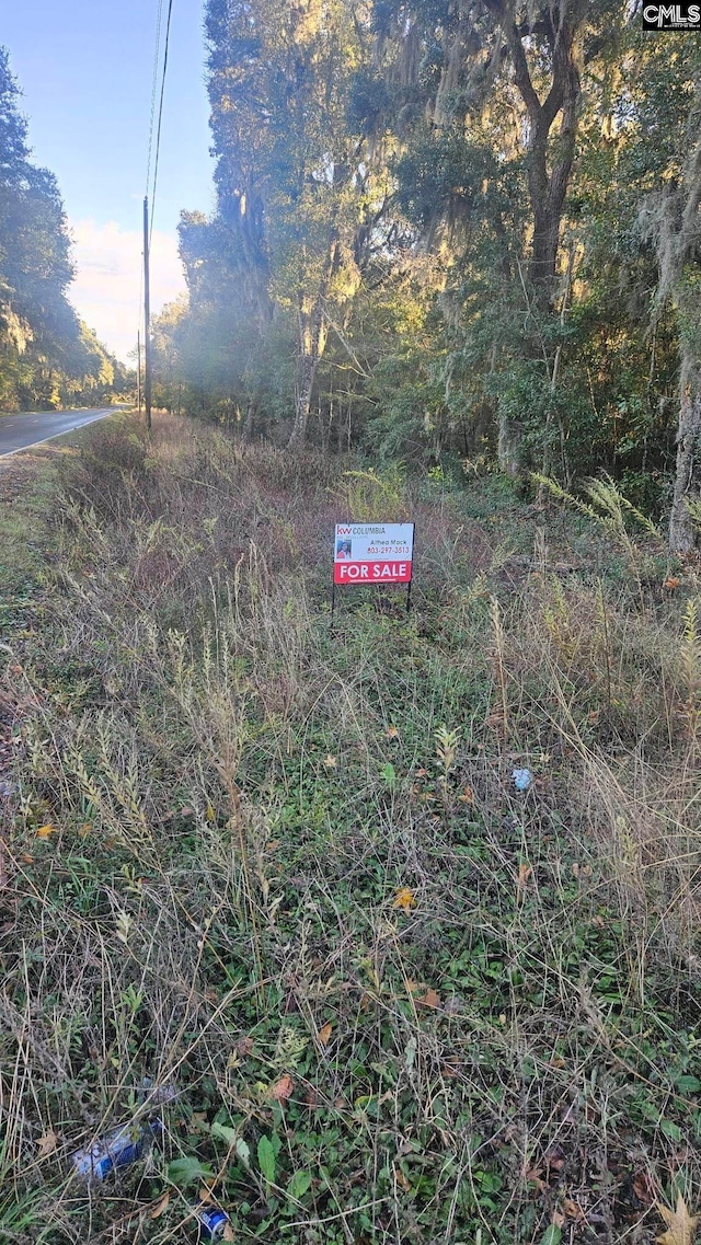 0.53ACRES Folly Rd, Saint Helena Island SC, 29920 land for sale