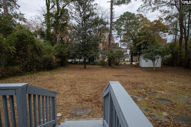 view of yard with a storage unit