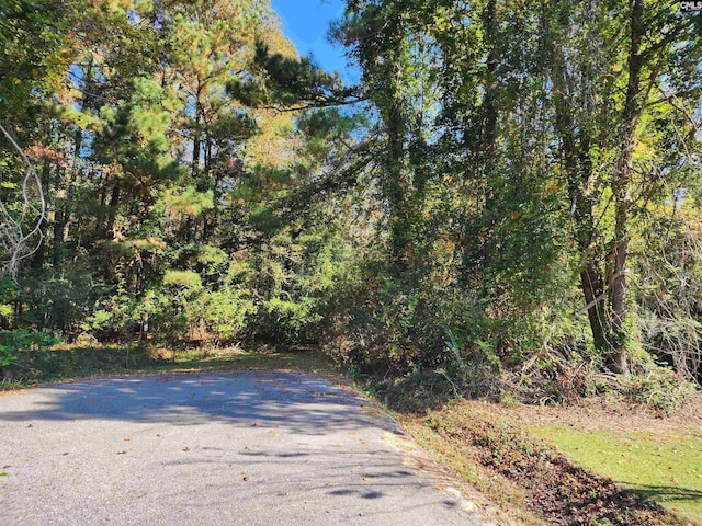 Listing photo 2 for HWY178TRACTB Moorecrum Rd, Orangeburg SC 29118