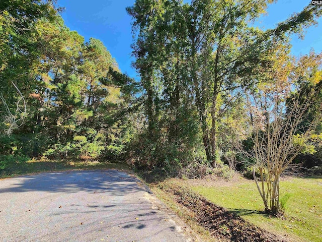 Listing photo 3 for HWY178TRACTB Moorecrum Rd, Orangeburg SC 29118