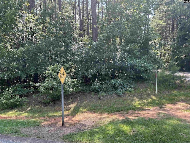 0 Herrington Dr Lot 108, Chappells SC, 29332 land for sale