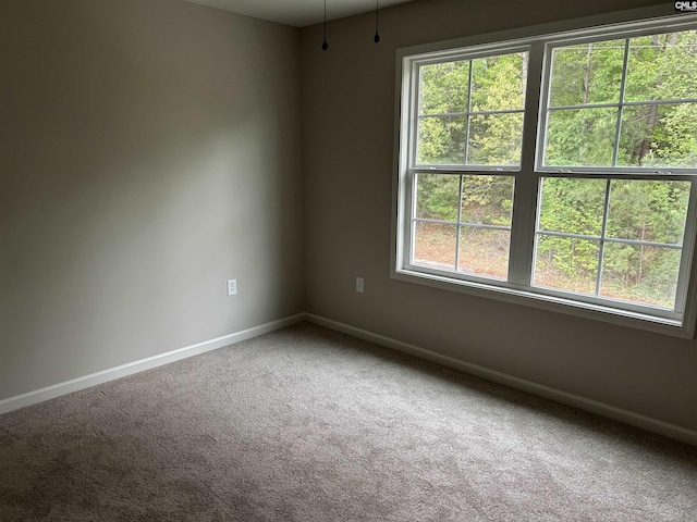 spare room with baseboards and carpet flooring