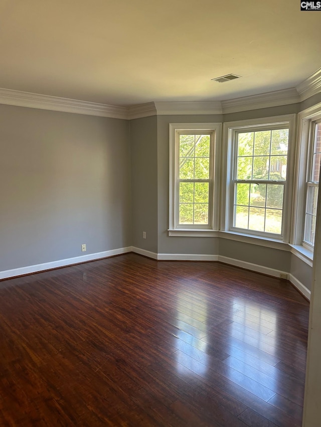 empty room featuring crown molding and dark hardwood / wood-style flooring