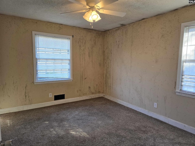 spare room featuring ceiling fan, carpet floors, and a textured ceiling