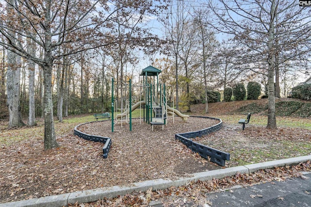 view of jungle gym