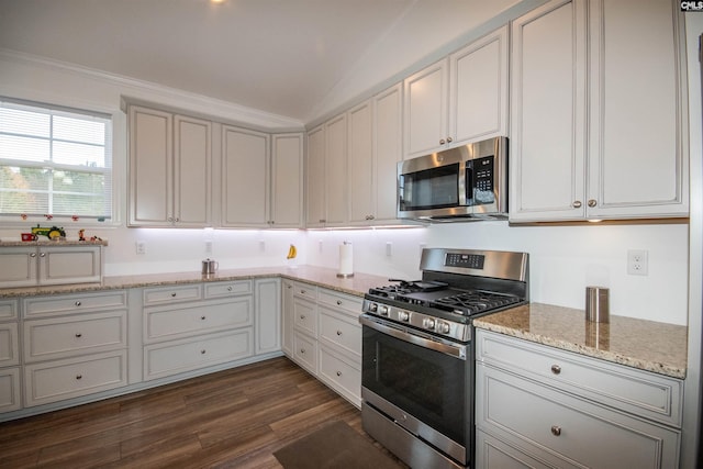 kitchen with lofted ceiling, crown molding, dark hardwood / wood-style floors, appliances with stainless steel finishes, and light stone counters