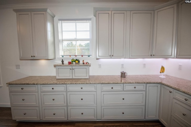 kitchen with dark hardwood / wood-style flooring and light stone countertops