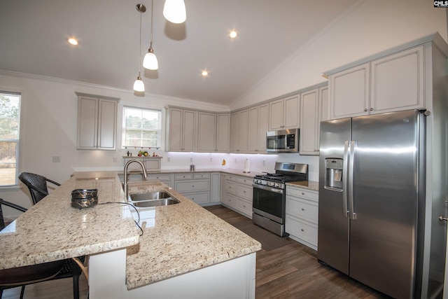 kitchen with plenty of natural light, sink, lofted ceiling, and appliances with stainless steel finishes