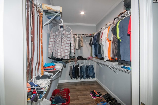 walk in closet featuring dark hardwood / wood-style flooring