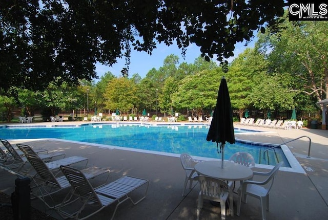 view of swimming pool featuring a patio