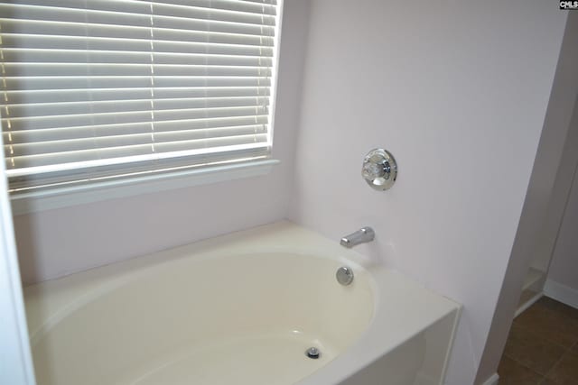 bathroom featuring a bathing tub