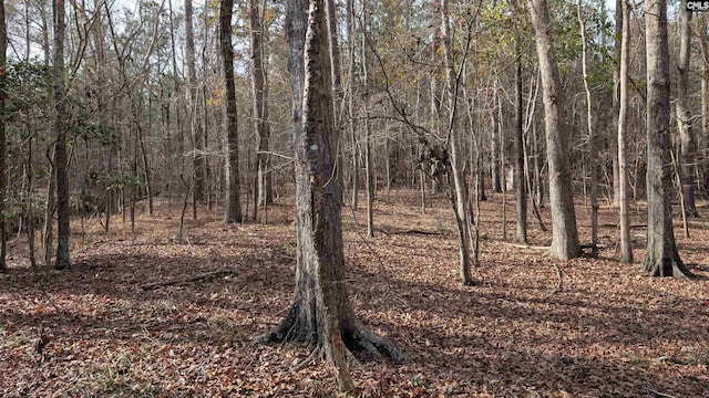 TBD Wateree Estates Road, Winnsboro SC, 29180 land for sale