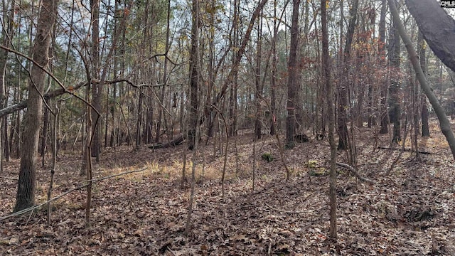 Listing photo 2 for TBD Wateree Estates Road, Winnsboro SC 29180