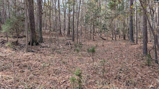 Listing photo 3 for TBD Wateree Estates Road, Winnsboro SC 29180