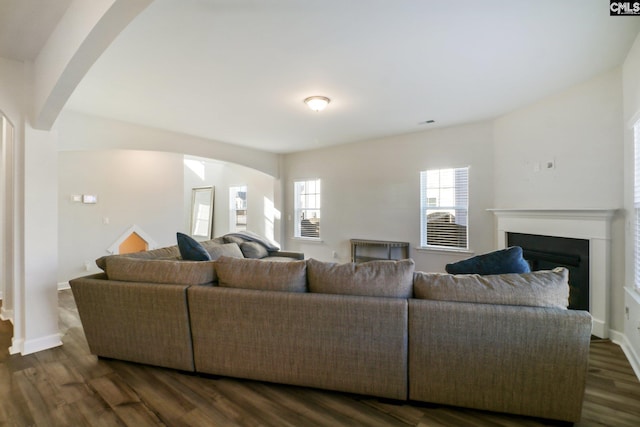 living room with dark hardwood / wood-style flooring