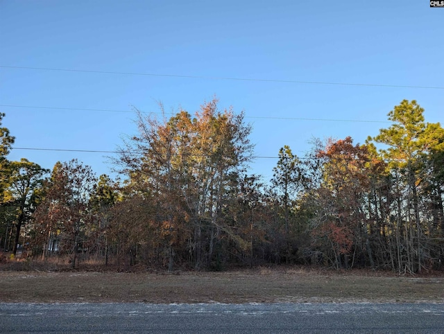 256 Leaning Tree Rd, Pelion SC, 29123 land for sale