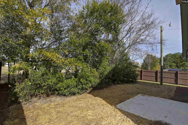 view of yard with a patio area