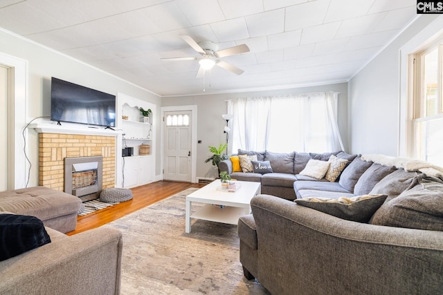 living room featuring ceiling fan, a fireplace, crown molding, and light hardwood / wood-style flooring