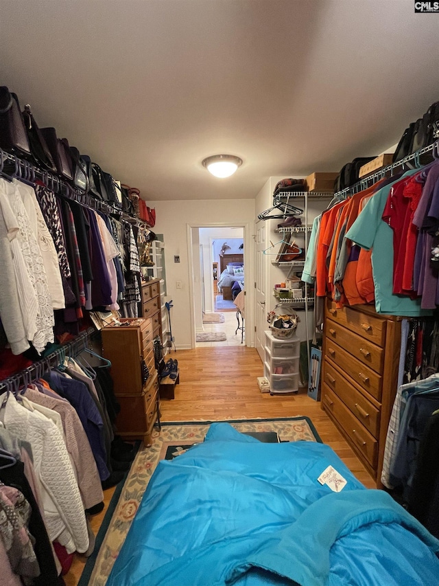 walk in closet with light hardwood / wood-style flooring