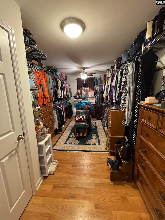 walk in closet featuring ceiling fan and light hardwood / wood-style floors