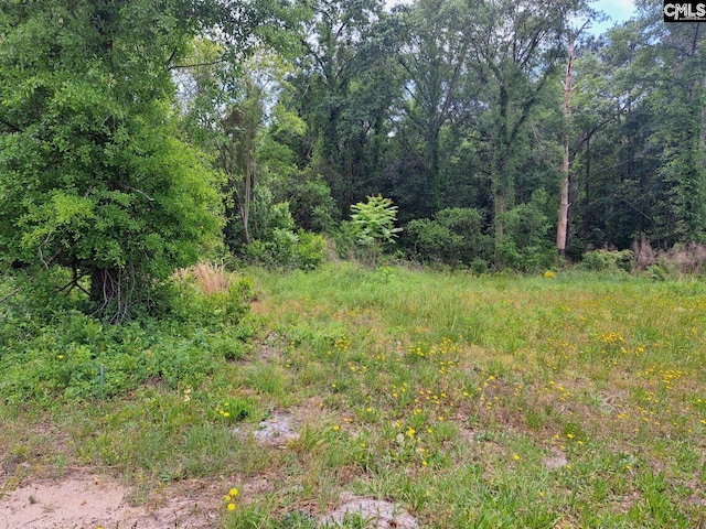 0 Popular St Unit 1, Cayce SC, 29033 land for sale