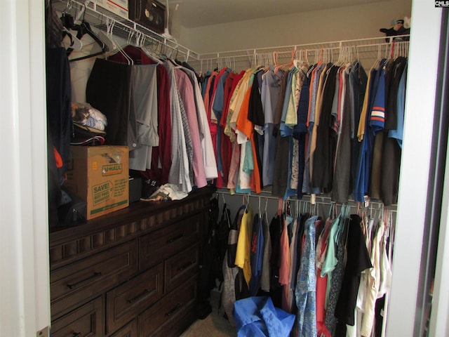 view of spacious closet