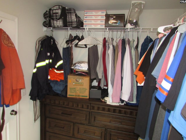 view of spacious closet