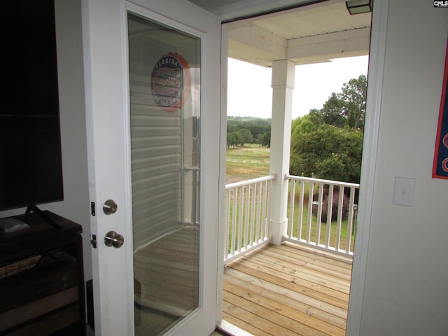 doorway with plenty of natural light and wood-type flooring