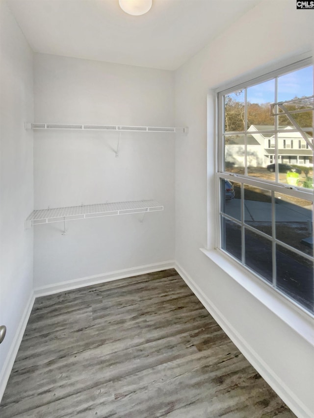 spacious closet with dark wood-type flooring