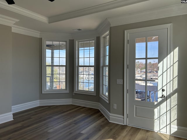 doorway featuring ornamental molding, dark hardwood / wood-style floors, and a healthy amount of sunlight