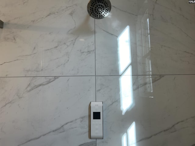 room details featuring tiled shower