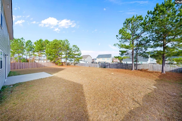 view of yard featuring a patio area