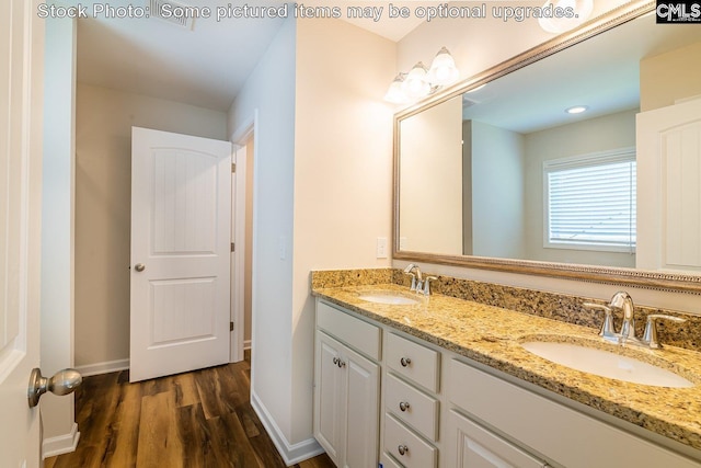 bathroom featuring wood-type flooring and vanity