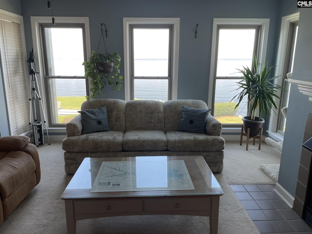 carpeted living room with a wealth of natural light