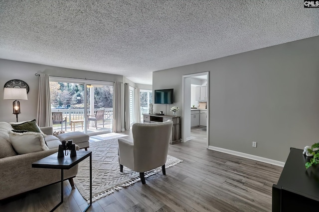 living room featuring hardwood / wood-style floors and a textured ceiling