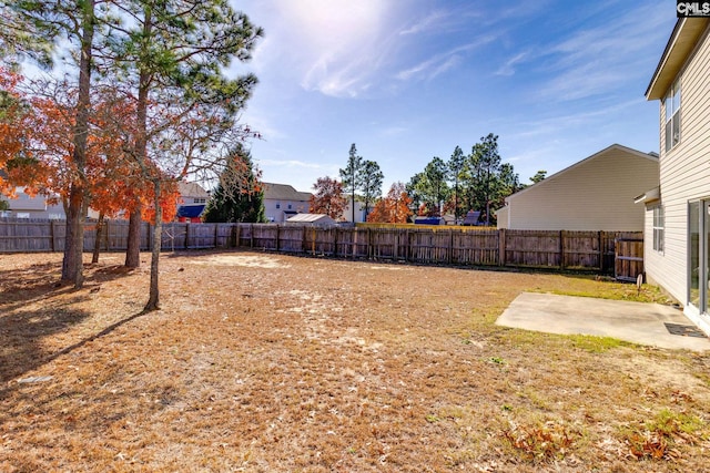 view of yard featuring a patio area