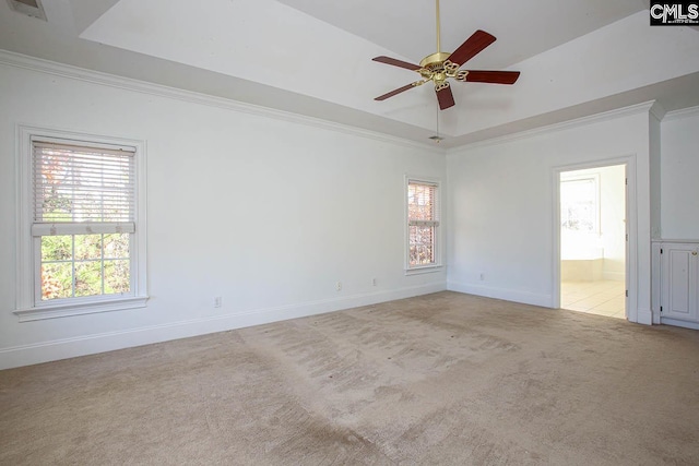 spare room with a raised ceiling, light carpet, ceiling fan, and ornamental molding