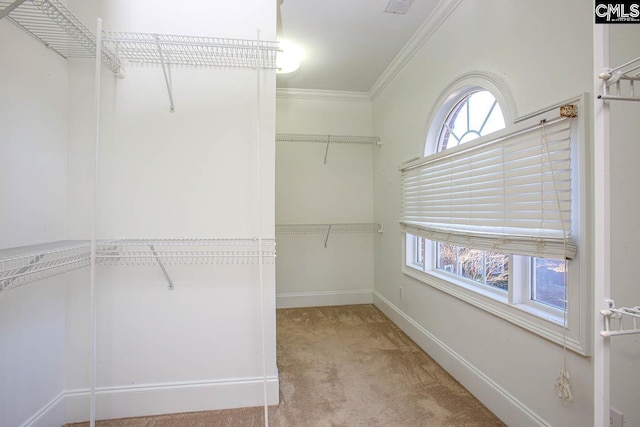 walk in closet featuring light carpet