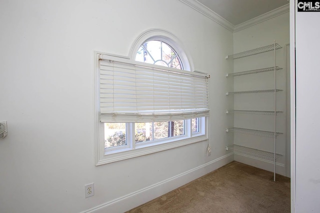 interior space featuring carpet floors