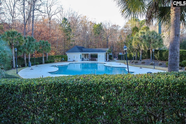 view of swimming pool