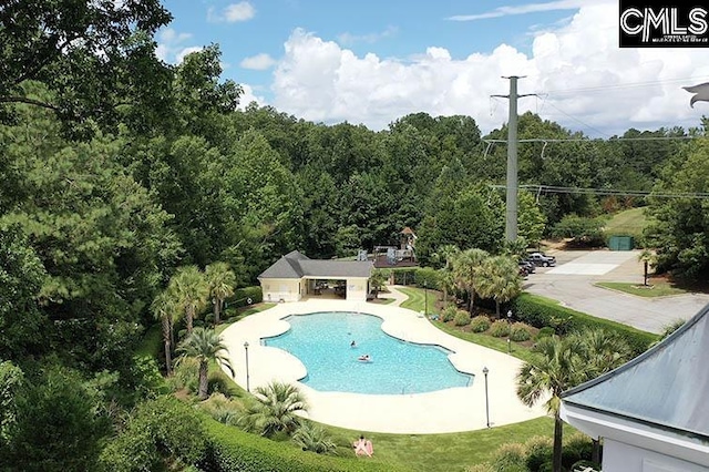 view of swimming pool