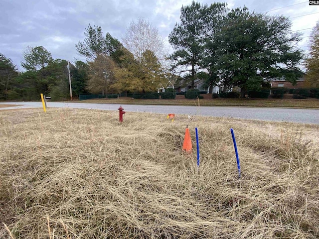 Listing photo 3 for 337 Ballfield Rd, Camden SC 29020