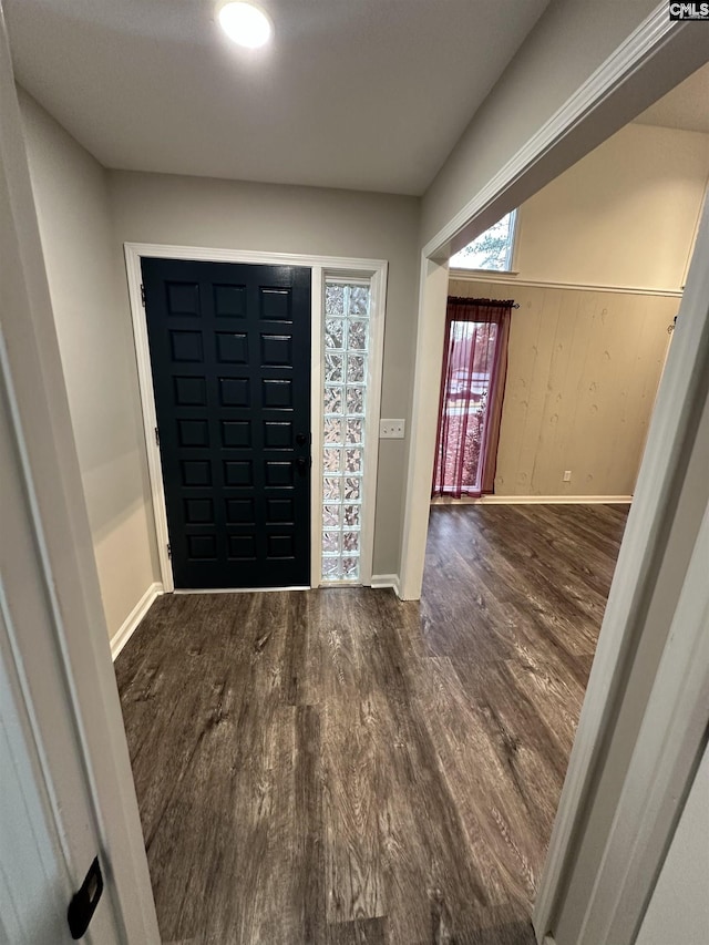 foyer featuring dark hardwood / wood-style floors