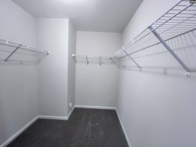 walk in closet with dark colored carpet